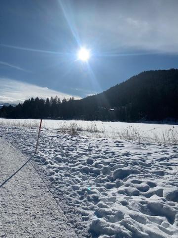 Haus Anna Lägenhet Seefeld in Tirol Exteriör bild